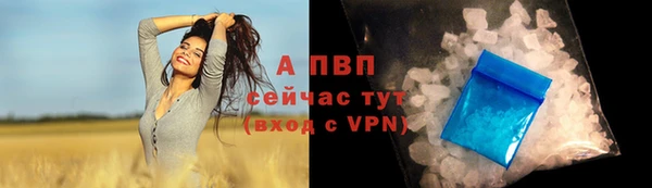 apvp Верея