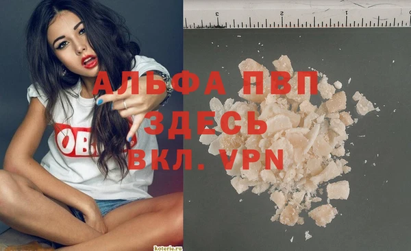 apvp Верея